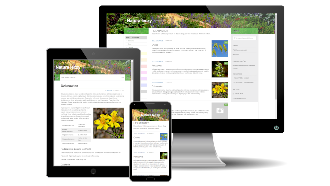 Ein Foto mit Monitor, Tablet und Smartphone, das eine Wordpress Blog in verschiedenen Größen zeigt.